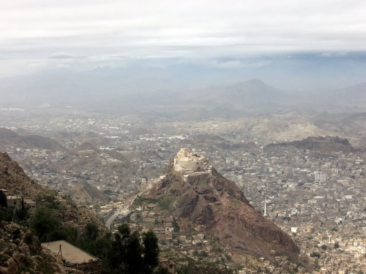 تعز